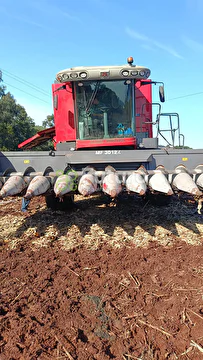 COLHEITADEIRA MASSEY FERGUSON 4690 ANO 2018